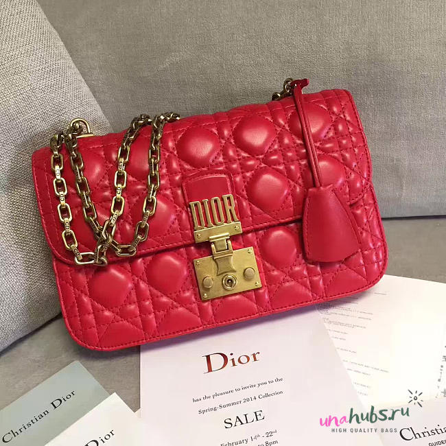 DIORADDICT 1674 - 1