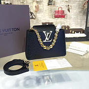 Louis Vuitton CAPUCINES 3155 - 1