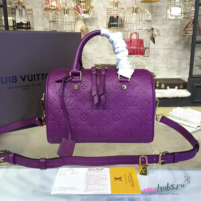 Louis Vuitton SPEEDY 25 3209 - 1