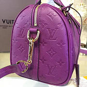 Louis Vuitton SPEEDY 25 3209 - 4