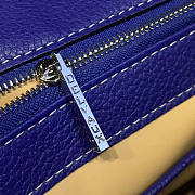 Delvaux Sellier Brillant 1485 - 4