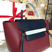 Celine Belt bag 1207 - 6