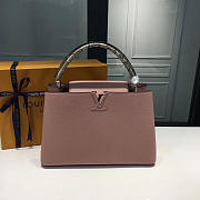 LOUIS VUITTON CAPUCINES 3675 - 1