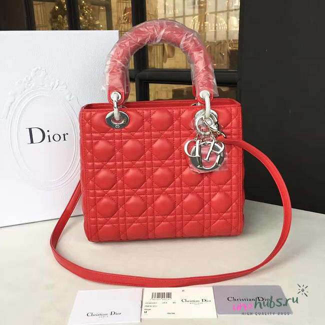 Lady Dior 1619 - 1