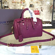 Louis Vuitton SPEEDY 25 3213 - 1