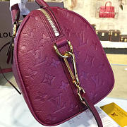 Louis Vuitton SPEEDY 25 3213 - 4