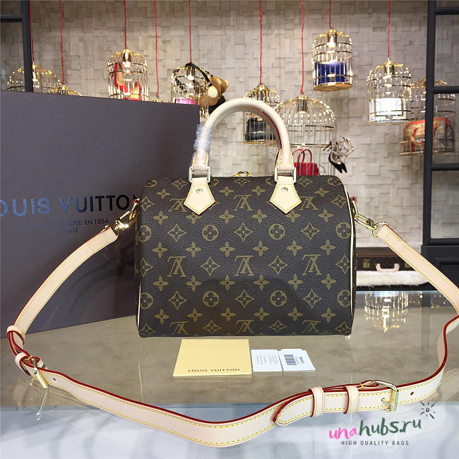 LOUIS VUITTON SPEEDY 25 3219 - 1