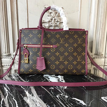 Louis Vuitton Popincourt Bag 3842