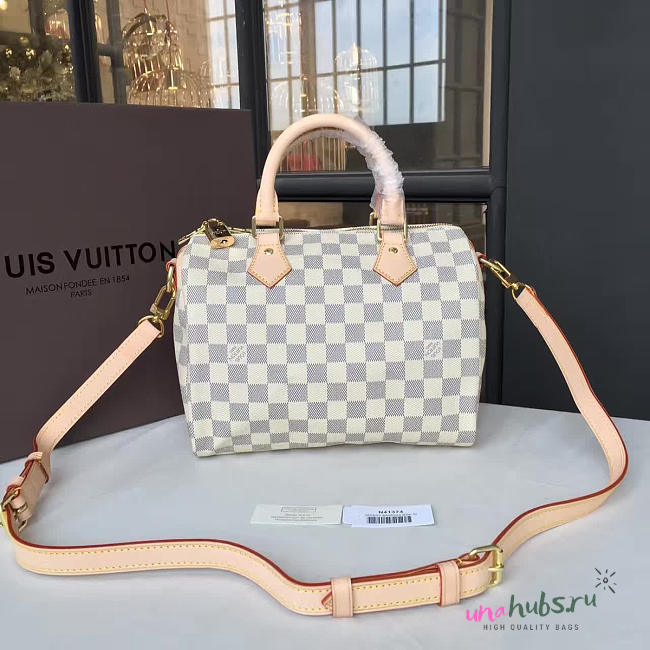 Louis Vuitton SPEEDY 25 3206 - 1