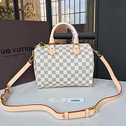 Louis Vuitton SPEEDY 25 3206 - 1