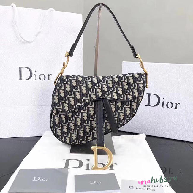 Dior Women Saddle Bag in Blue Canvas M0446 - 1