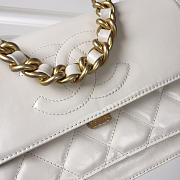 Chanel Flap Bag white AS0074 - 6