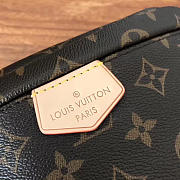 Louis Vuitton BUMBAG M43644 - 6