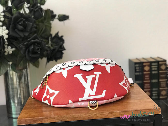 Louis Vuitton BUMBAG M44575 - 1