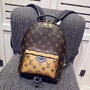 LOUIS VUITTON PALM SPRINGS BACKPACK PM M43116 - 3