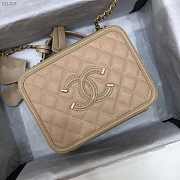 Chanel Vanity Bag all Beige  - 1