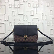 Louis Vuitton CLAPTON PM N44243 - 1