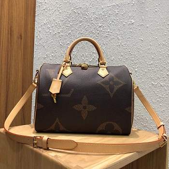 Louis Vuitton Speedy 30 M44602