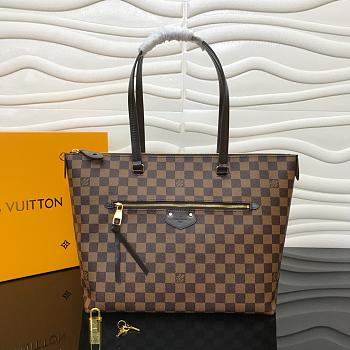 Louis Vuitton Iena Damier Ebene MM