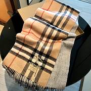 Burberry scarf 001 - 6