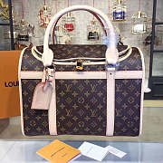 Louis Vuitton DOG CARRIER 40 - 1