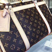 Louis Vuitton DOG CARRIER 40 - 4