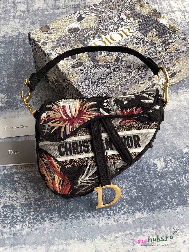 Dior Saddle Bag 001 - 1