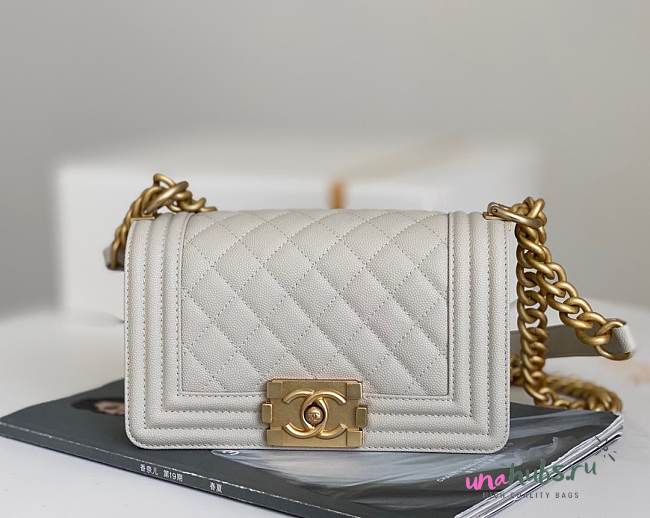 Chanel Samll Leboy Caviar Leather in White - 1