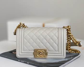 Chanel Samll Leboy Caviar Leather in White