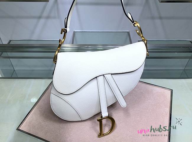 Dior Saddle Bag - 1