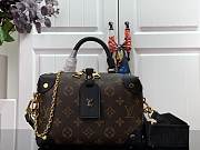 LV Petite Malle Souple M45571 - 3