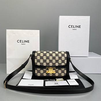 Celine Embroidery Calfskin Triiomphe Bag  