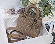 DIOR My ABCDIOR Lady Brown Lambskin Bag M0538 - 1