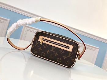 LOUIS VUITTON Pochette Cite shoulder bag