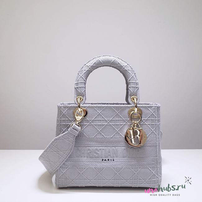 Dior Lady D-lite in gray 24cm - 1