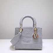 Dior Lady D-lite in gray 24cm - 1