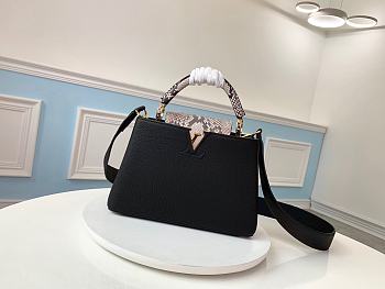 Louis Vuitton Capucines BB 27cm N95509