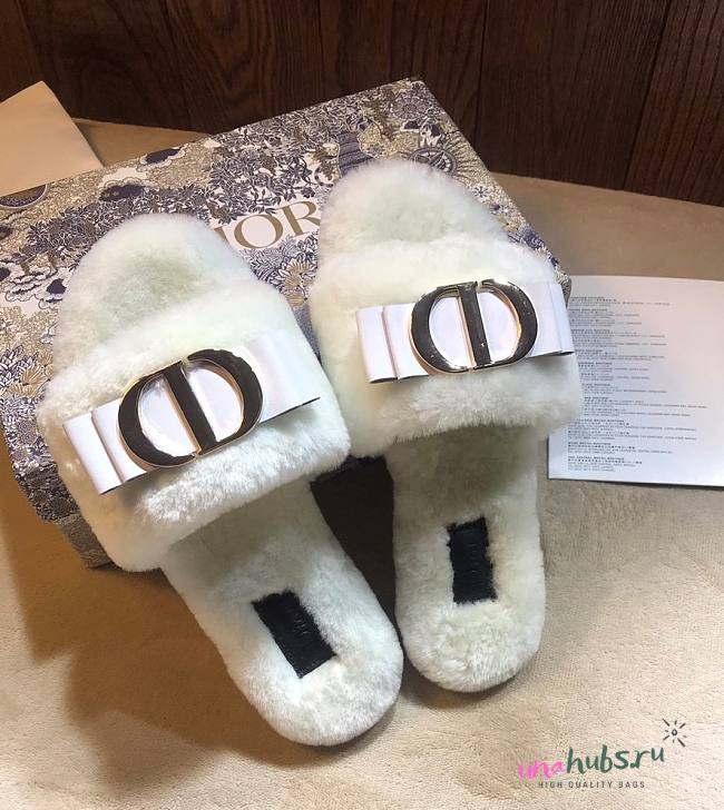 Dior Slipper 012 - unahubs.ru