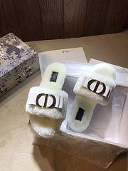 Dior Slipper 012 - 5