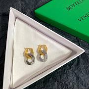 Bottega Veneta earings - 1