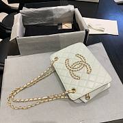 Chanel Calfskin Chain CC Accordion Shoulder Bag AS1751 - 3