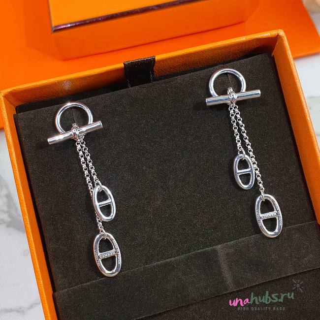 Hermes long earings  - 1