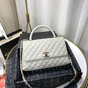 Chanel Coco Grained Calfskin Gray Flap Bag 29cm - 5