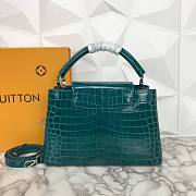 Louis Vuitton Blue Crocodile Capucines PM - 3