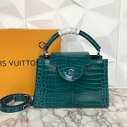 Louis Vuitton Blue Crocodile Capucines PM - 4