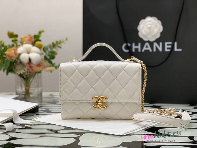 Chanel Lambskin & Gold Metal Mini Flap Bag in White  - 1