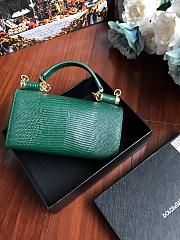 D&G calfskin crystal DG logo patch green handbag - 5