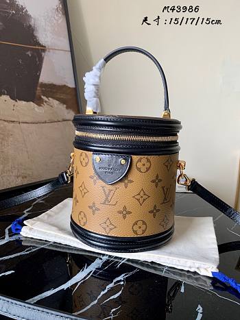 LV Cannes Monogram Reverse Canvas M43986