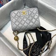 Chanel Lambskin & Gold-Tone Metal Mini Flap Bag Gray  - 6