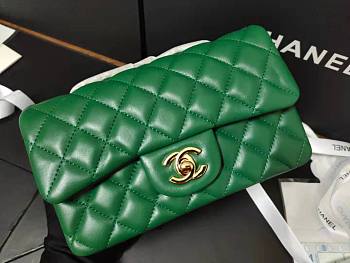 Chanel classic flap caviar leather bag gold hardware green 25cm